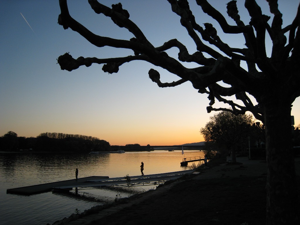 Abendstimmung am Rhein bei Wiesbaden-Biebrich