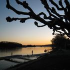 Abendstimmung am Rhein bei Wiesbaden-Biebrich