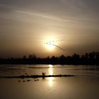 Abendstimmung am Rhein