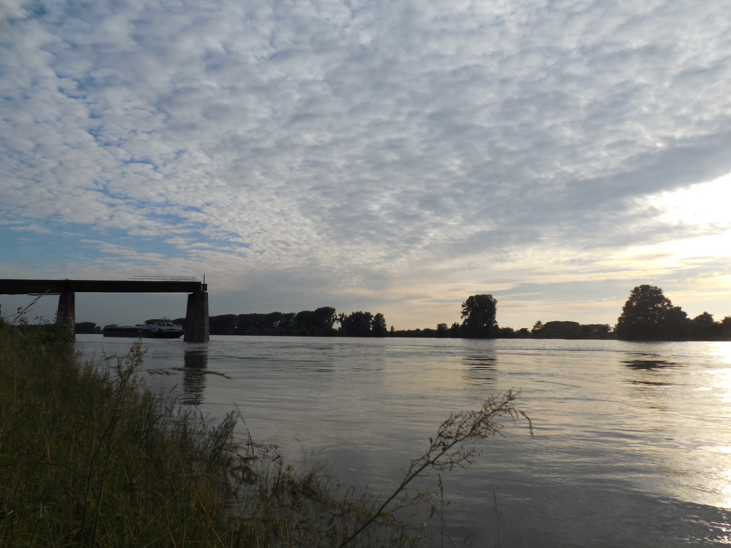 Abendstimmung am Rhein (Gernsheim, Südhessen)