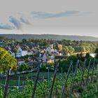 Abendstimmung am Rhein mit Blick auf Dörflichen CH