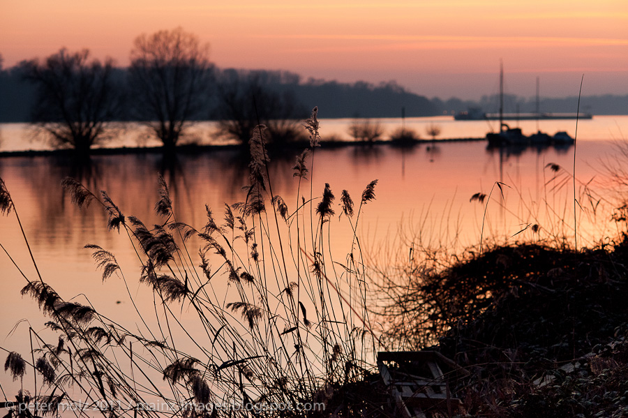 Abendstimmung am Rhein / Rheingau, Februar 2011