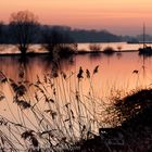 Abendstimmung am Rhein / Rheingau, Februar 2011