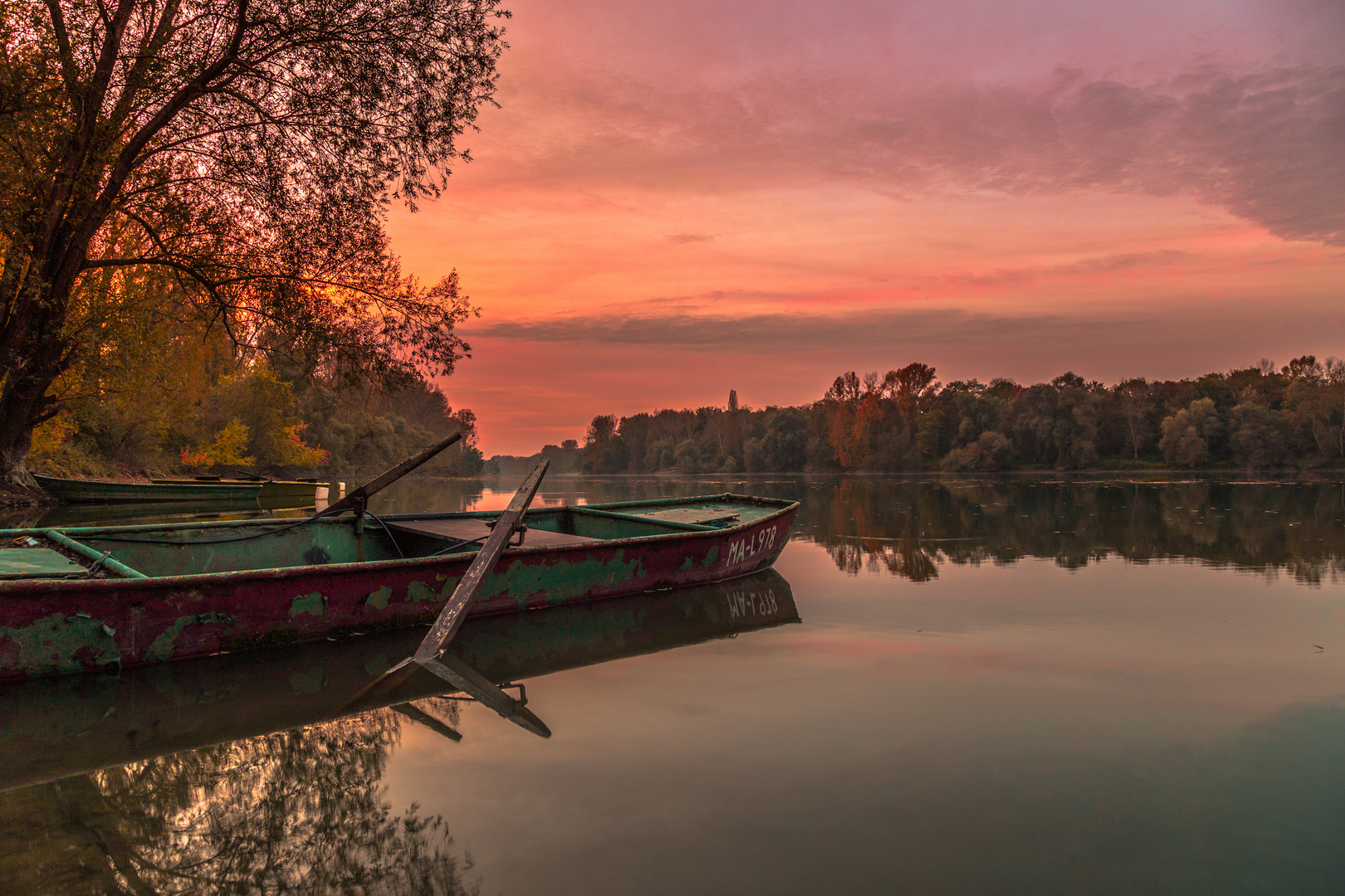 Abendstimmung am Rheinarm