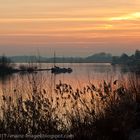 Abendstimmung am Rheinufer bei Eltville im Rheingau