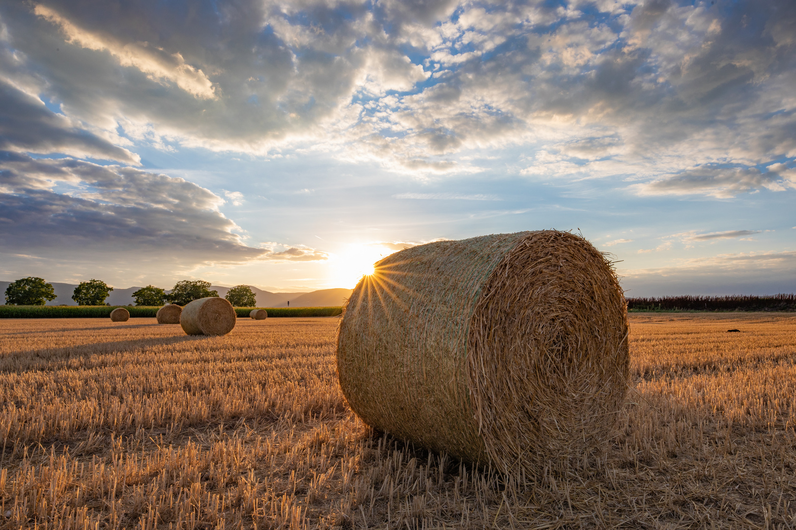 Abendstimmung am Rollfeld