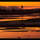 Abendstimmung am Rufiji River Tanzania