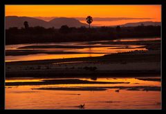 Abendstimmung am Rufiji River Tanzania