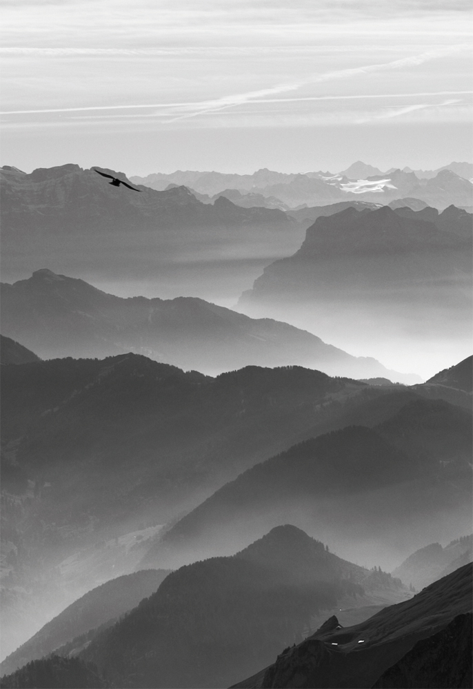 Abendstimmung am Säntis