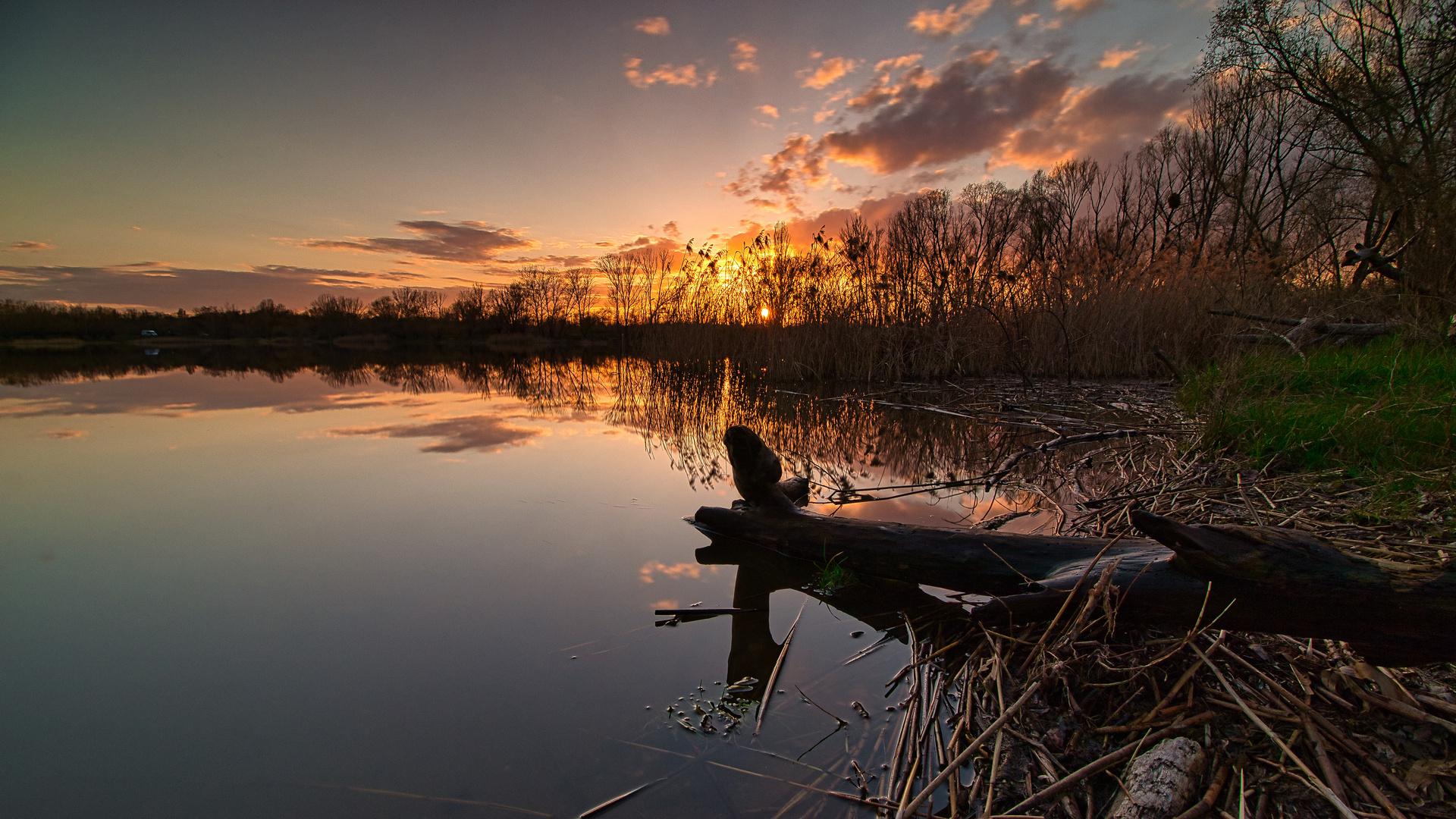 Abendstimmung am Salbker See