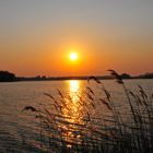 Abendstimmung am Santower See (Mecklenburg-Vorpommern)