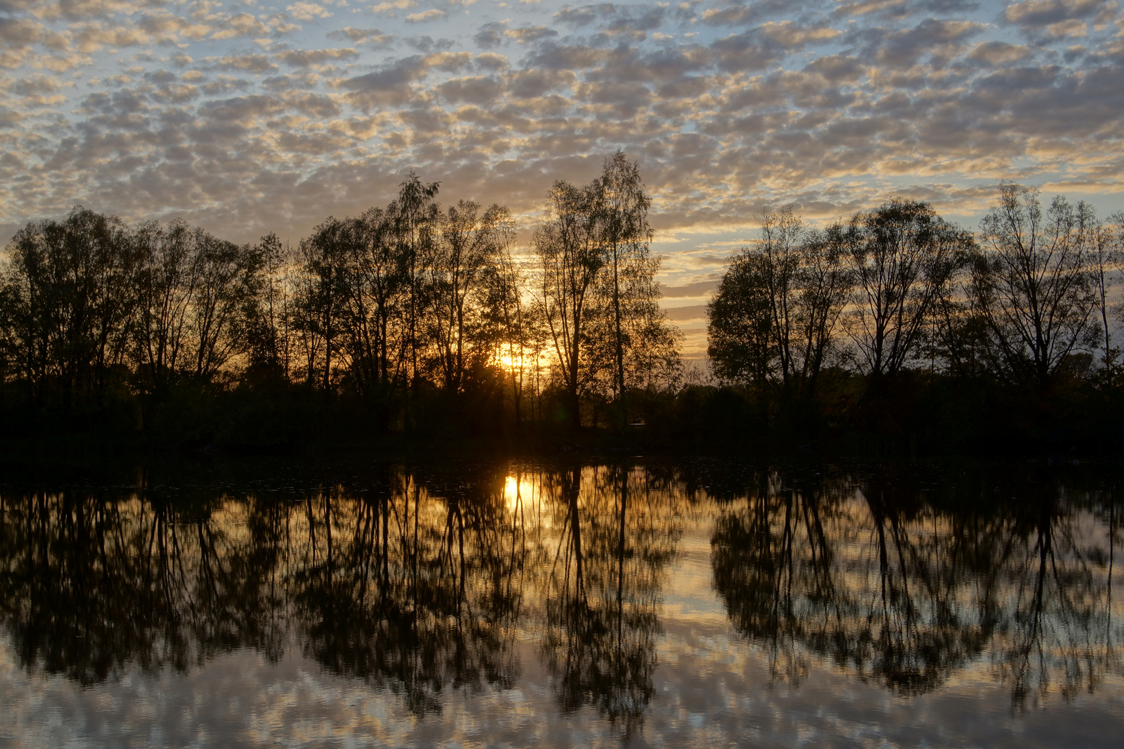 Abendstimmung am Schallweiher II