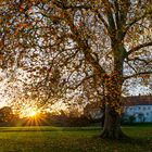 Abendstimmung am Schloß