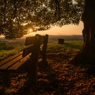 Abendstimmung am Schloßberg