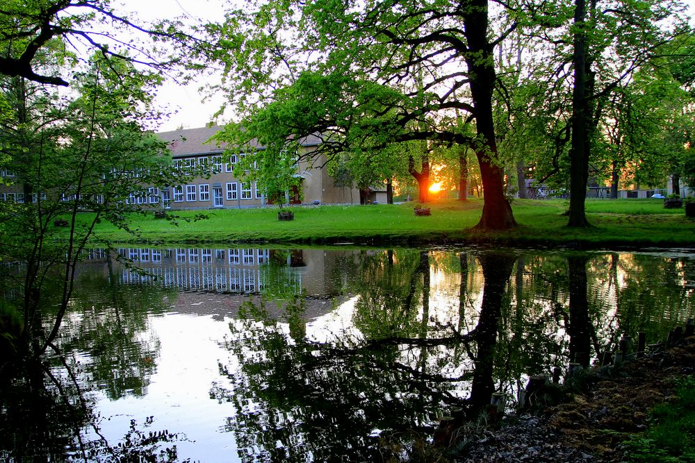 Abendstimmung am Schloßteich...