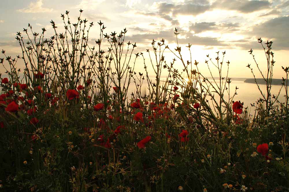 Abendstimmung am Schwarzen Meer, Bulgarien