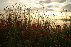 Abendstimmung am Schwarzen Meer, Bulgarien