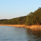 Abendstimmung am Schwielowsee