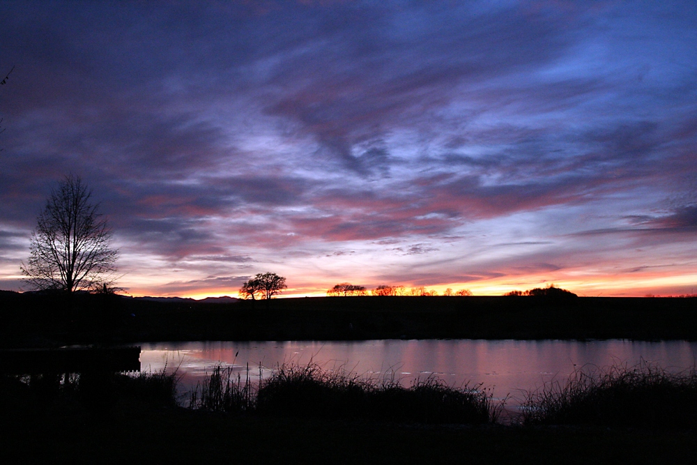 Abendstimmung am Schwimmteich