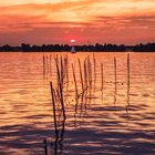 Abendstimmung am Seddinsee