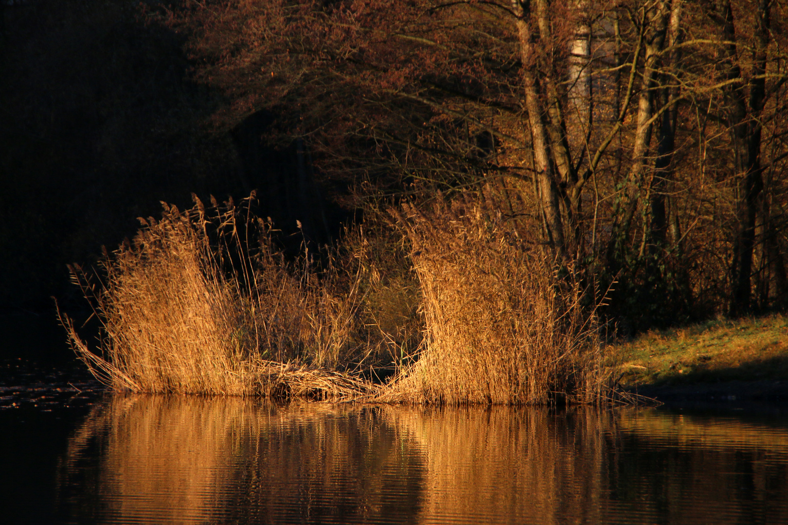 Abendstimmung am See