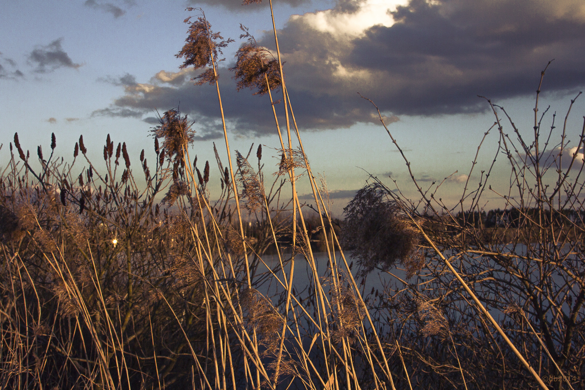 Abendstimmung am See