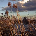 Abendstimmung am See