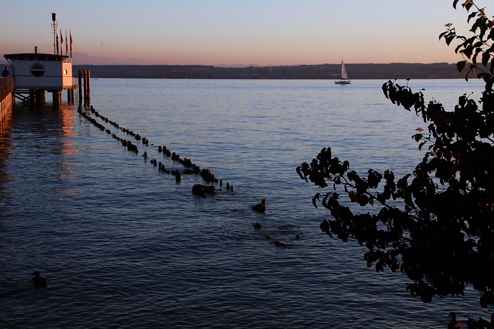 Abendstimmung am See (1)