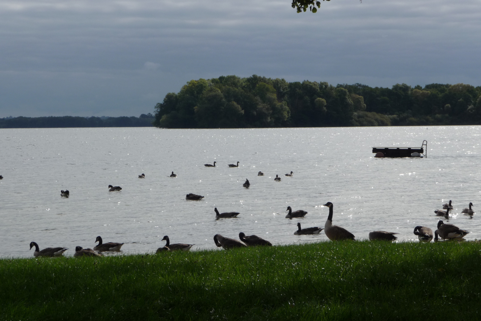 Abendstimmung am See