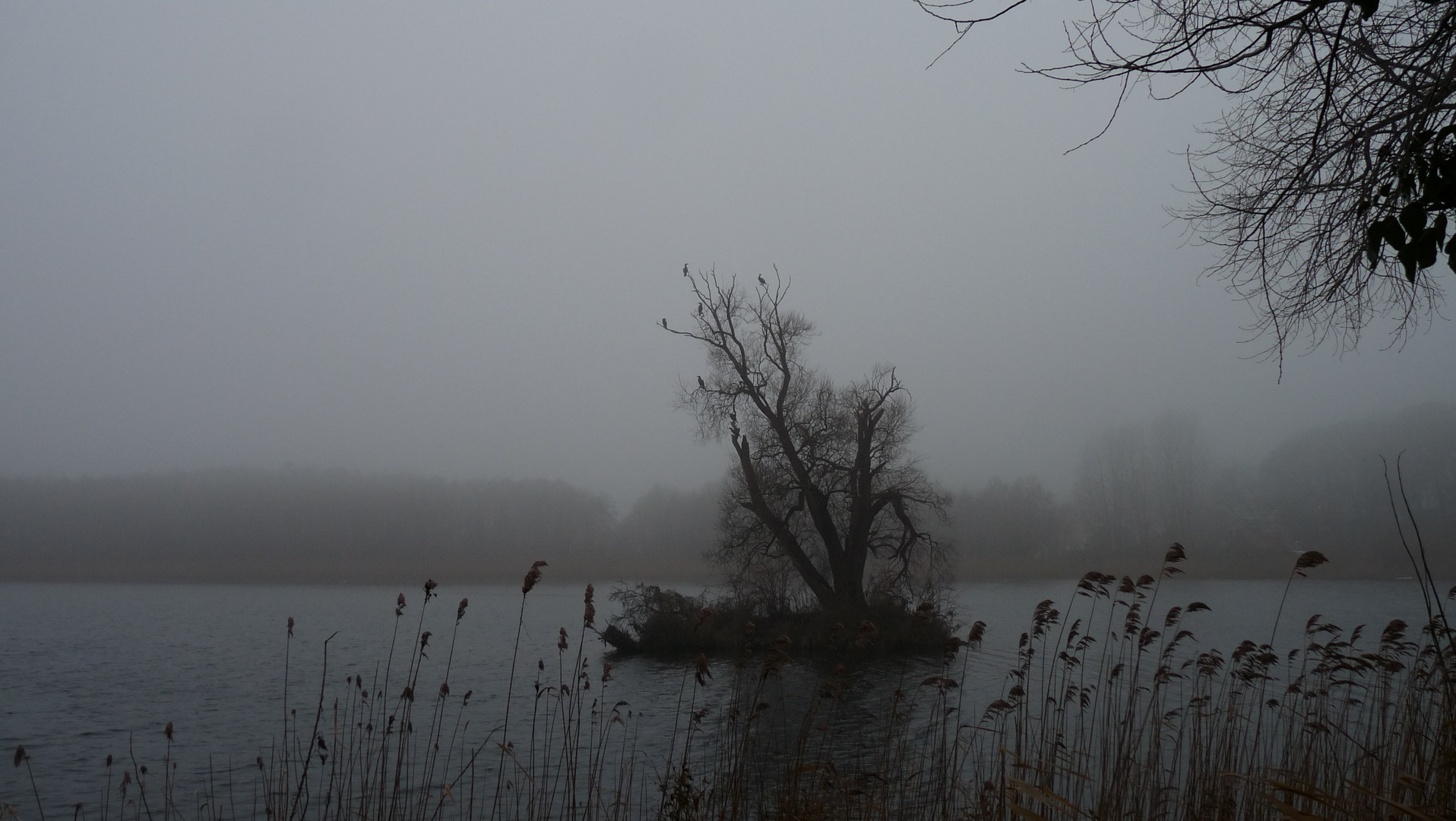 Abendstimmung am See