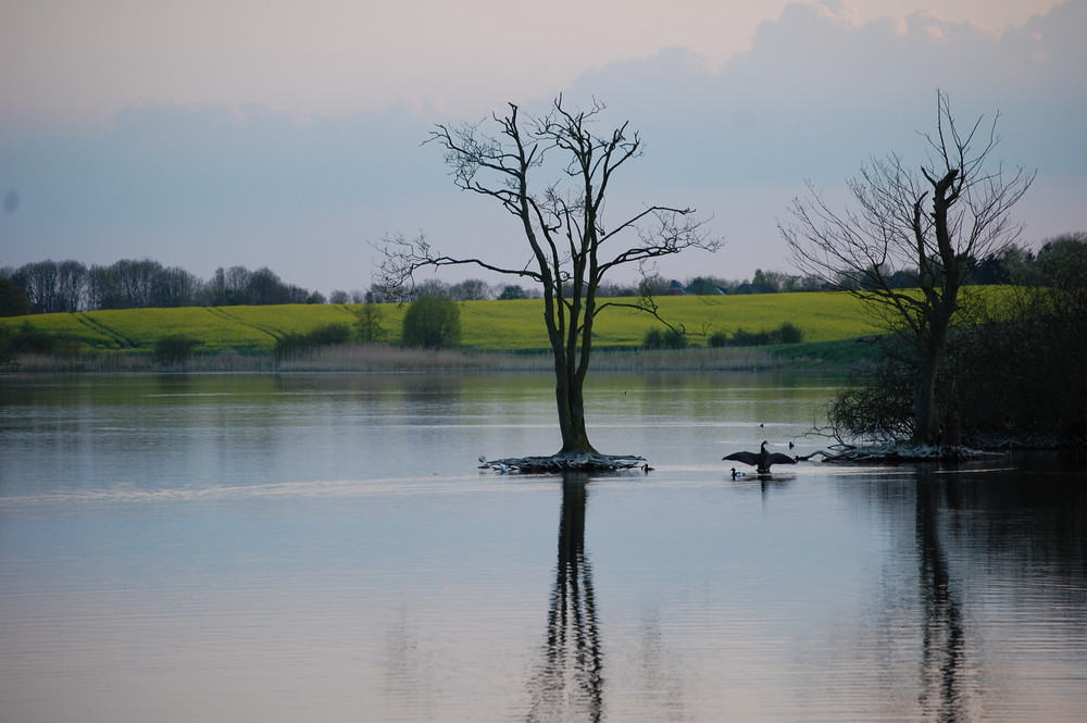 Abendstimmung am See