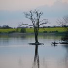 Abendstimmung am See