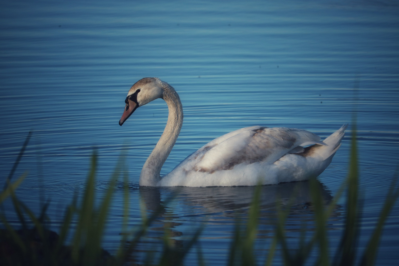 Abendstimmung am See