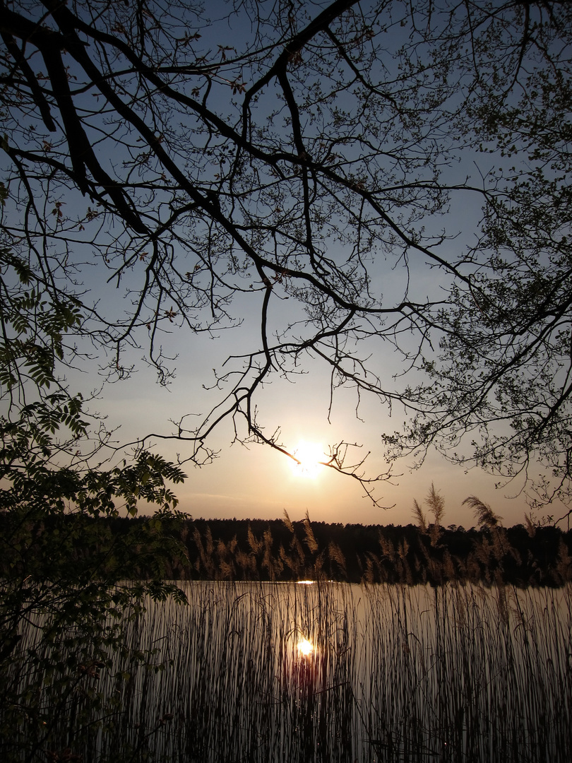 Abendstimmung am See