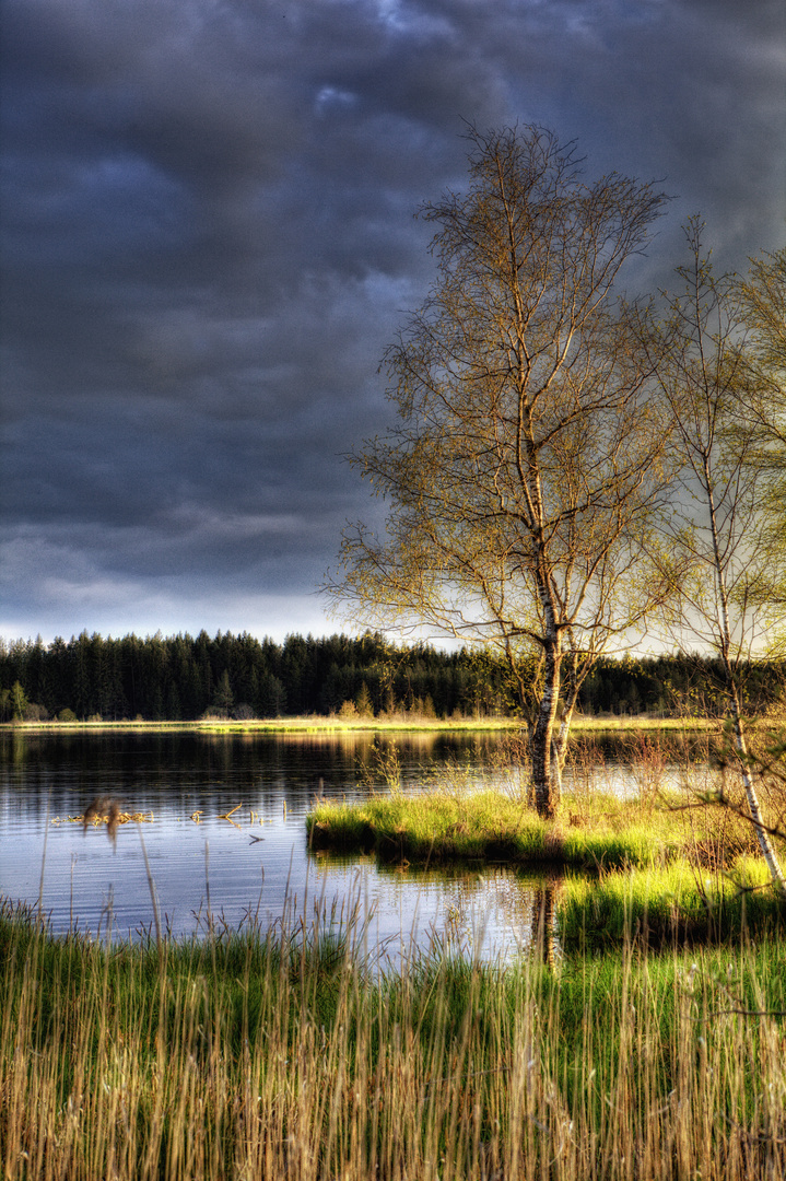 Abendstimmung am See