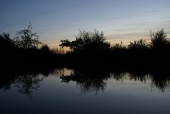 Abendstimmung am See