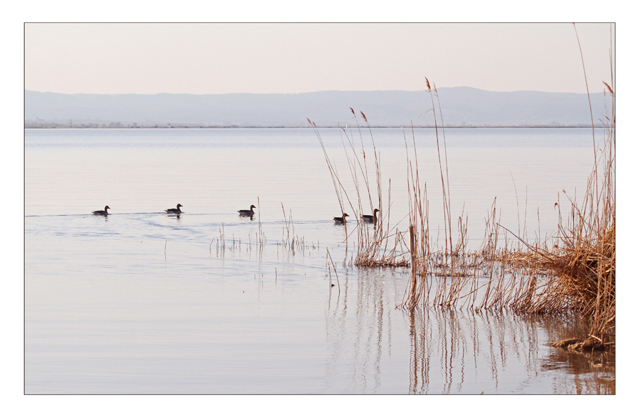 Abendstimmung am See