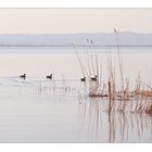 Abendstimmung am See