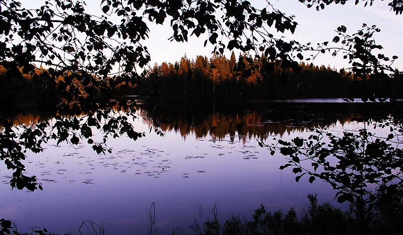 Abendstimmung am See