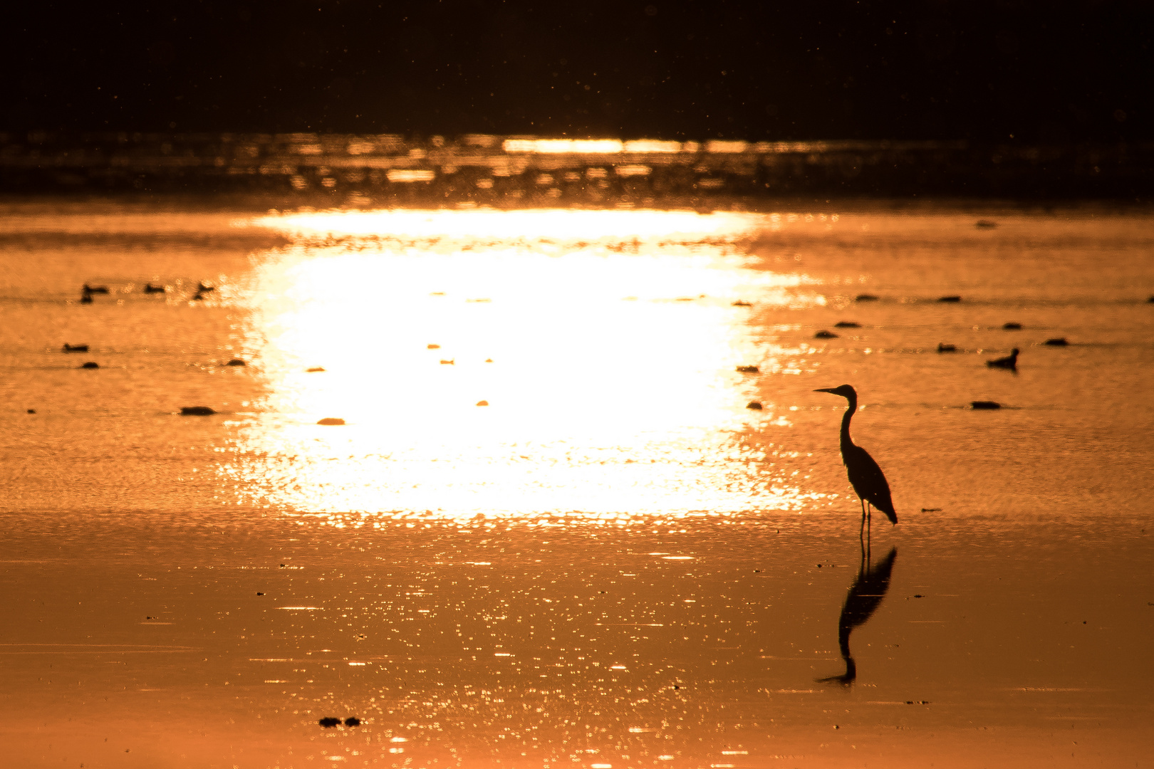 Abendstimmung am See