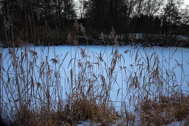 Abendstimmung am See