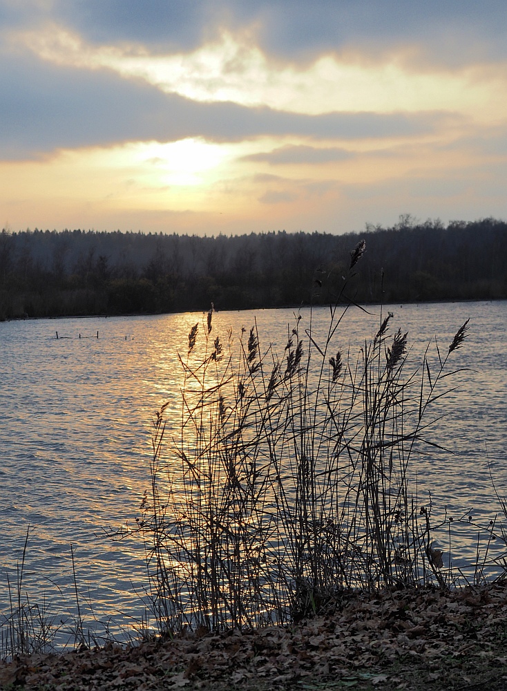 Abendstimmung am See "Amerika" bei Franzensbad