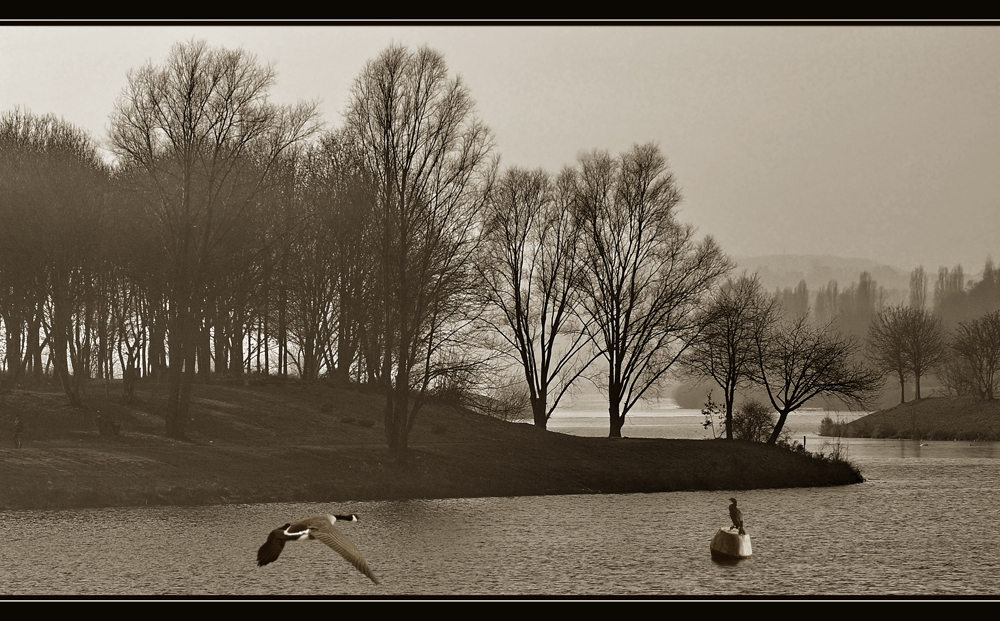 Abendstimmung am See