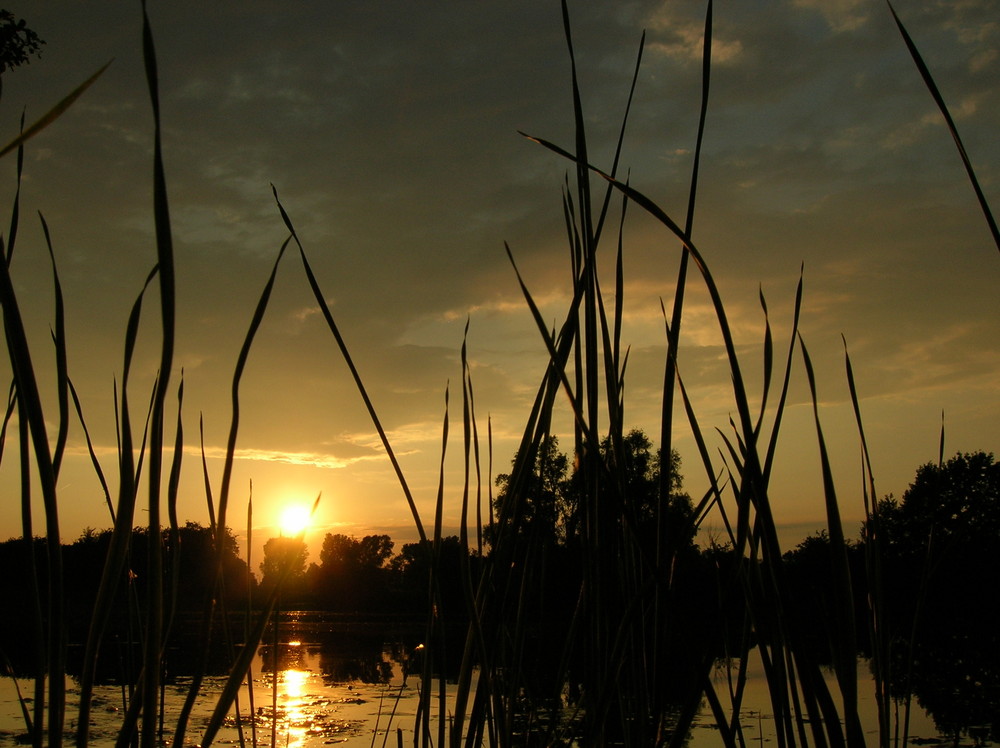 Abendstimmung am See