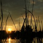 Abendstimmung am See