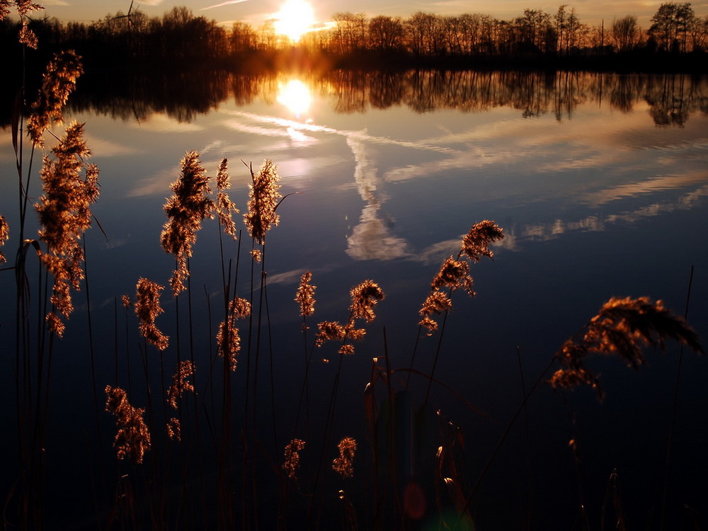 Abendstimmung am See