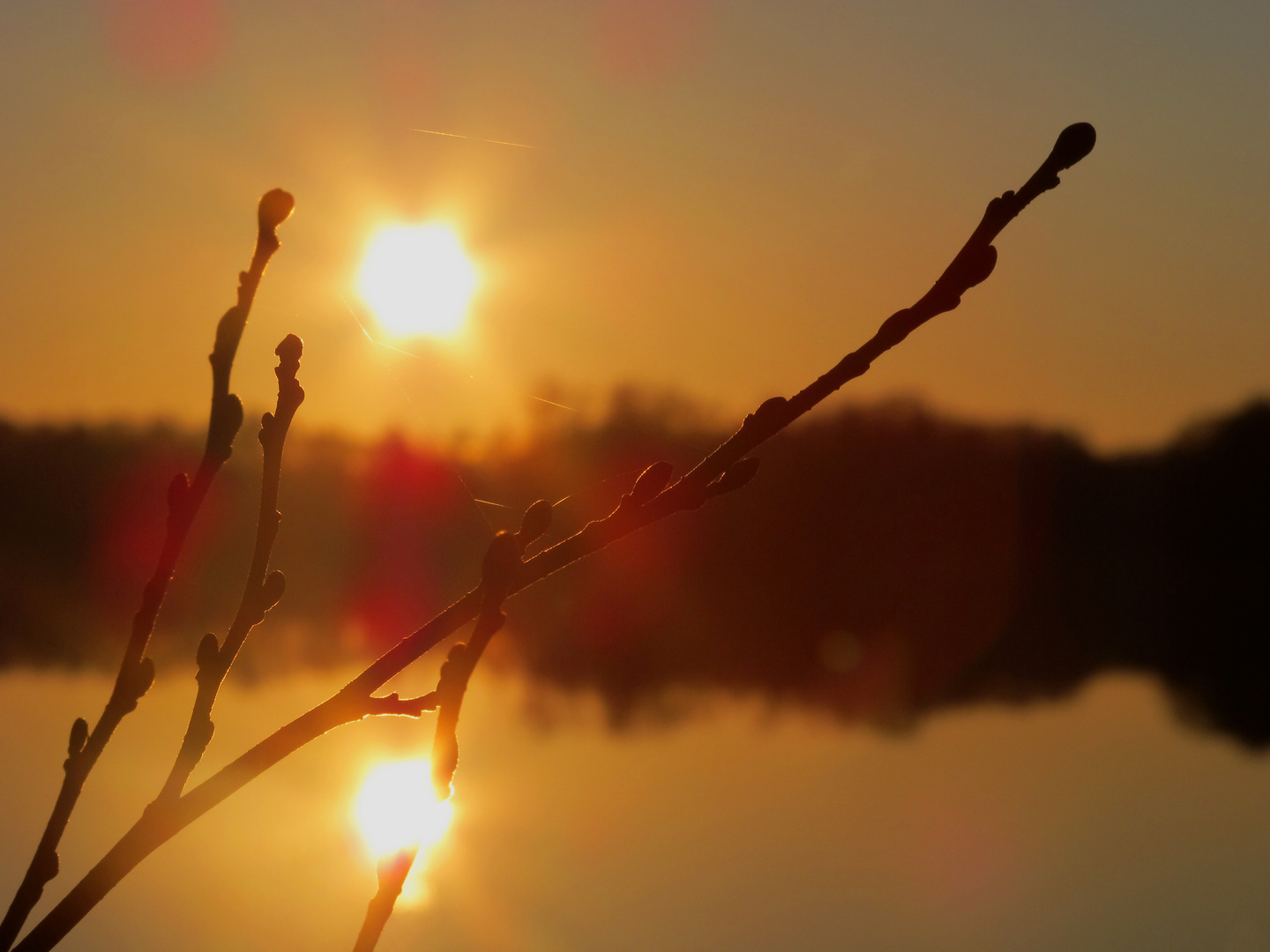 Abendstimmung am See