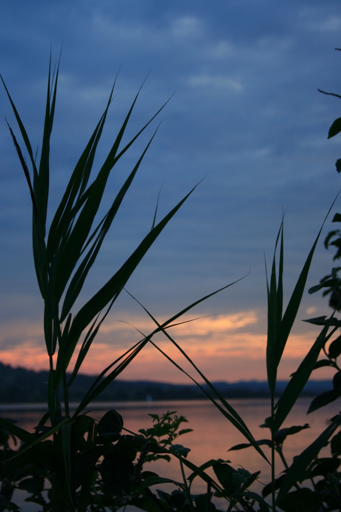 Abendstimmung am See