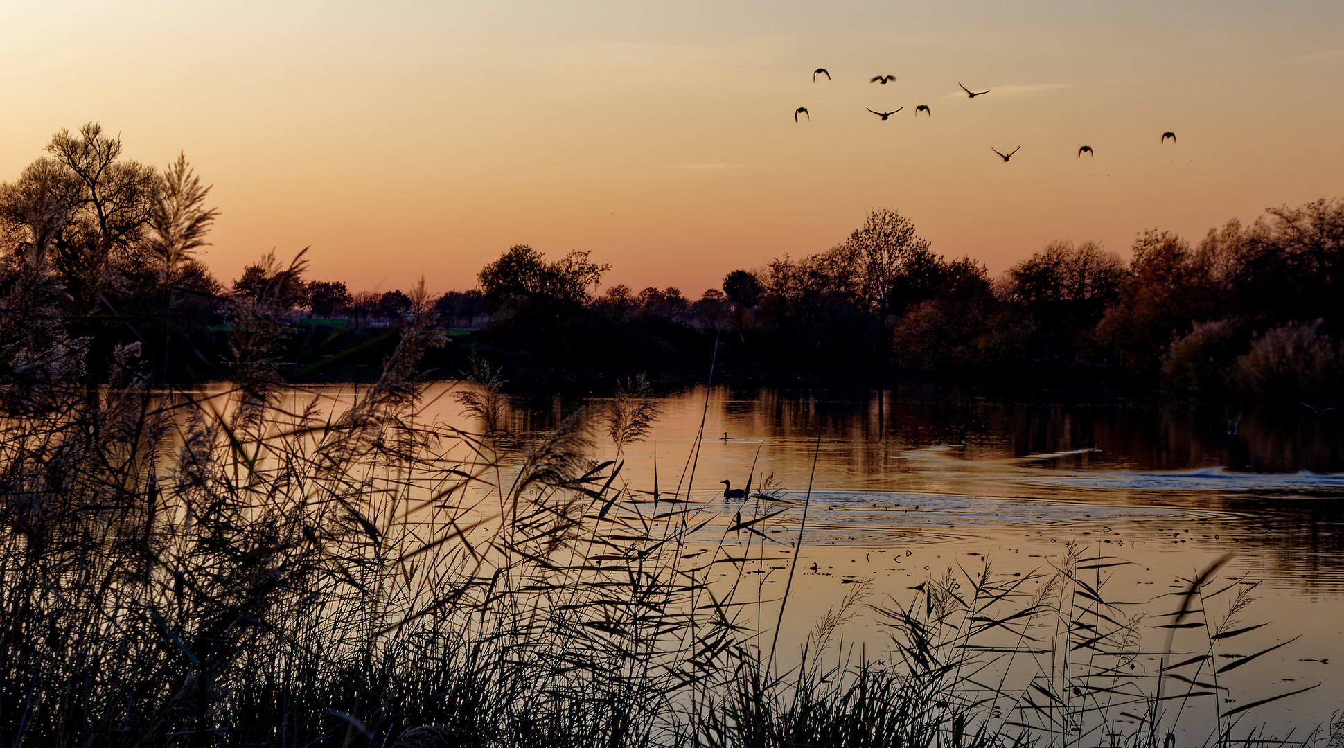 Abendstimmung am See in Spätherbst