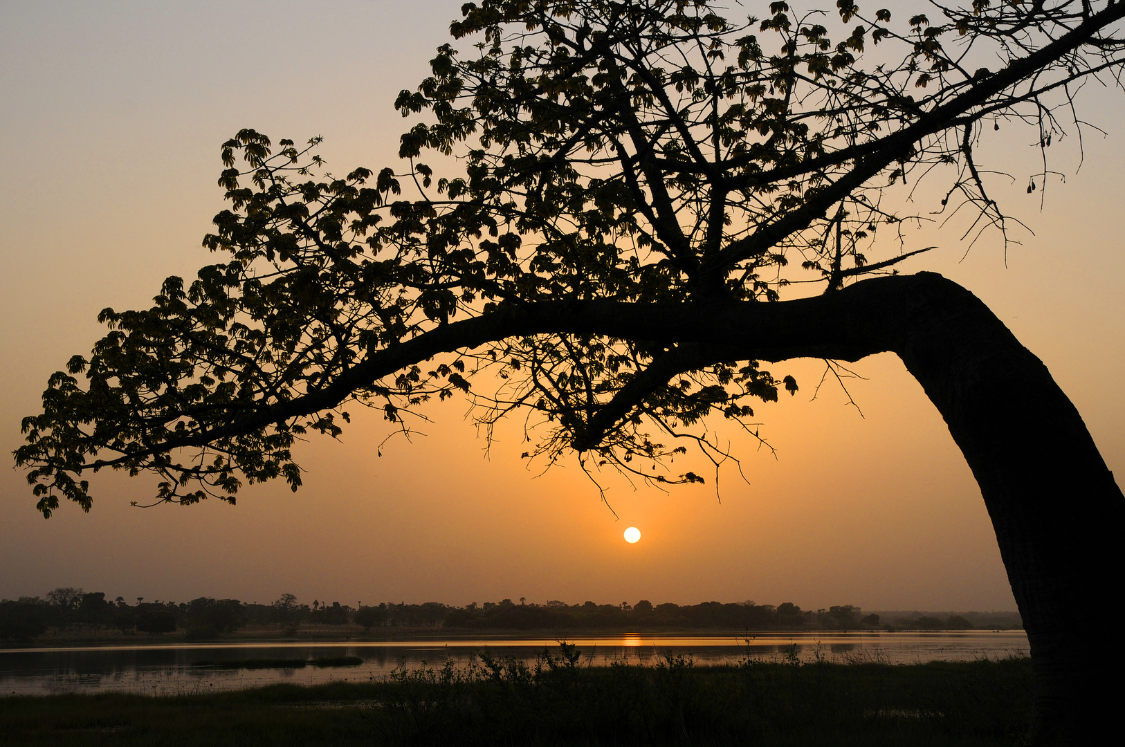 Abendstimmung am See von Tengrela / Burkina Faso